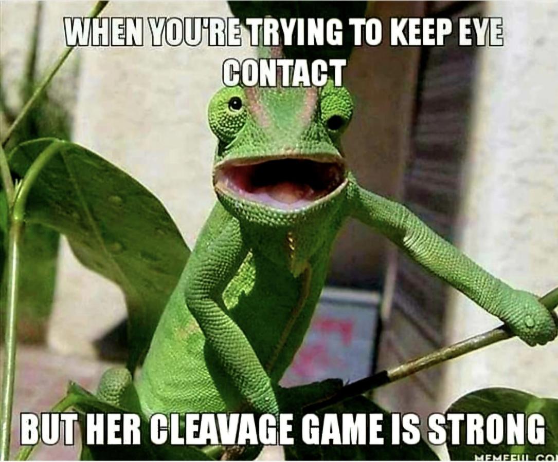 Click image for larger version

Name:	448109845_3647697478878003_3006689195974843486_n.jpg
Views:	1
Size:	121.9 KB
ID:	57484