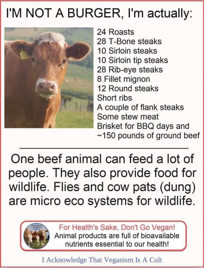 Click image for larger version

Name:	447666955_400429709665765_2264463531051290711_n.jpg
Views:	1
Size:	99.1 KB
ID:	57502