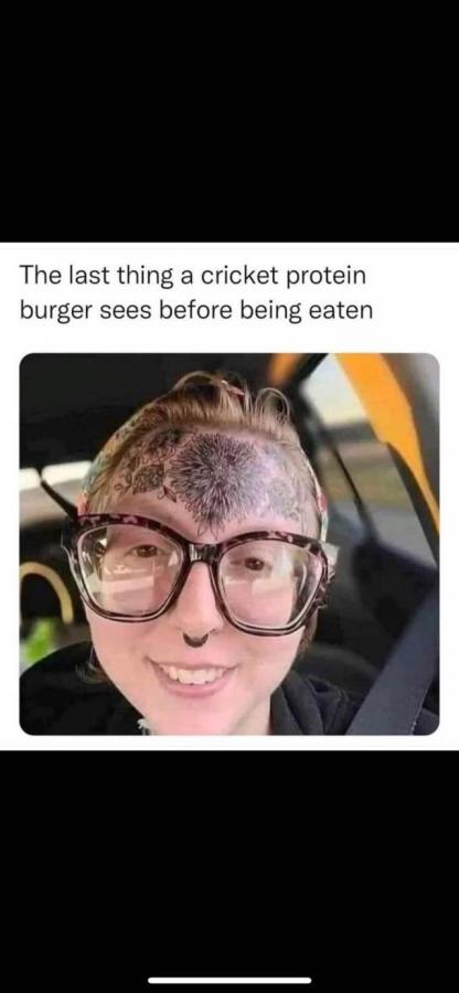 Click image for larger version

Name:	448104490_506090695079132_8649134636633797938_n.jpg
Views:	1
Size:	32.9 KB
ID:	57553