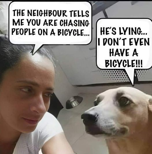 Click image for larger version

Name:	bike chaser.jpg
Views:	1
Size:	59.0 KB
ID:	57845