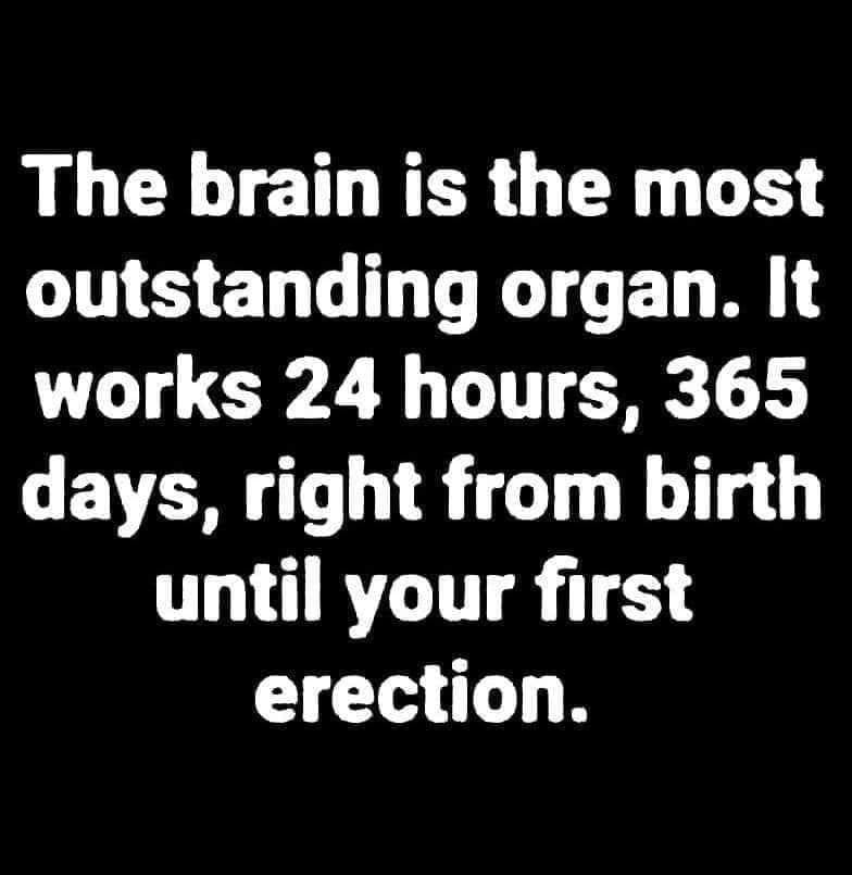 Click image for larger version

Name:	453238879_2160344291011509_8555285721363714091_n.jpg
Views:	1
Size:	62.6 KB
ID:	58635