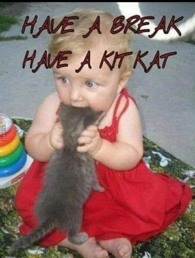 Click image for larger version

Name:	455323447_10224627059159365_6418362354739474475_n.jpg
Views:	1
Size:	71.4 KB
ID:	58995