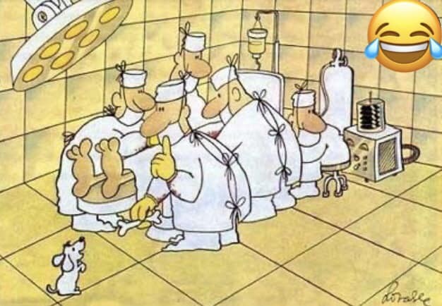 Click image for larger version

Name:	457064150_7992330284135316_5508013311795693833_n.jpg
Views:	1
Size:	69.3 KB
ID:	59288