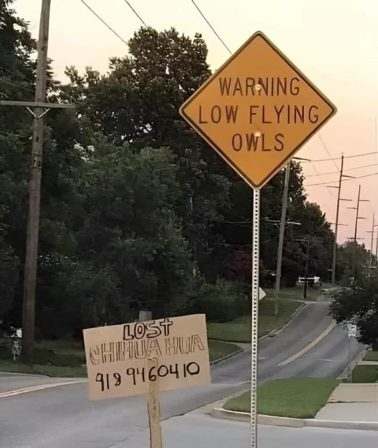 Click image for larger version

Name:	458196921_10169080386805433_7370101198770563802_n.jpg
Views:	1
Size:	80.1 KB
ID:	59358