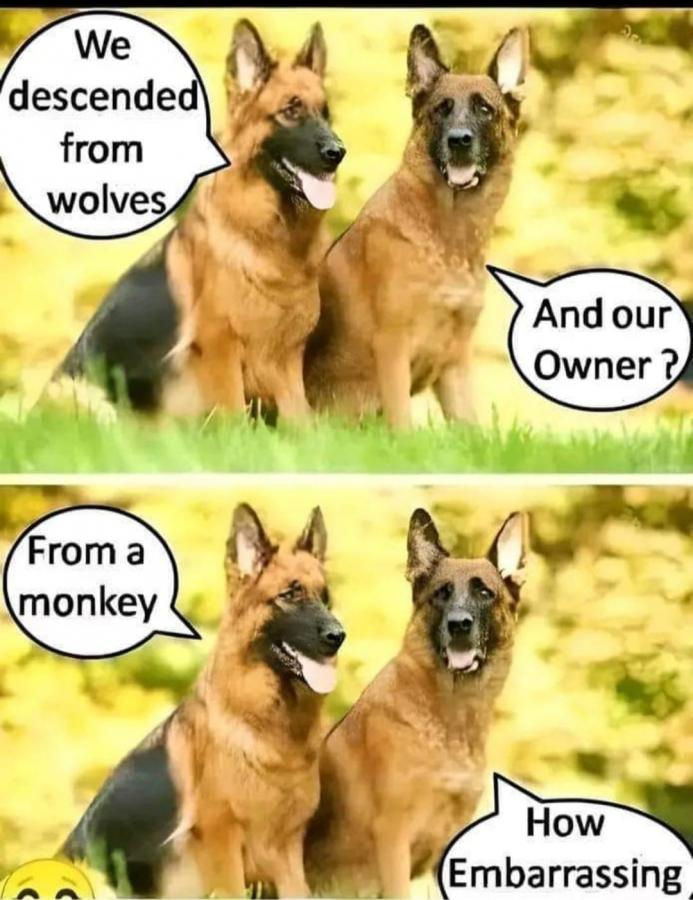 Click image for larger version

Name:	459388387_2533083060235297_1452480746679686007_n.jpg
Views:	1
Size:	81.8 KB
ID:	59589