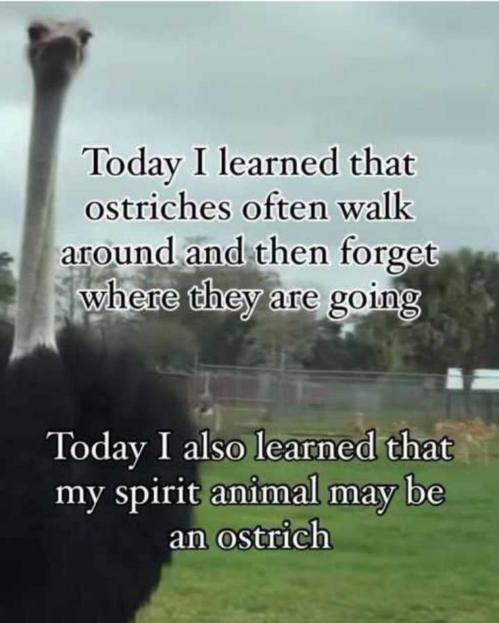 Click image for larger version

Name:	Screenshot_20241119_152907_Chrome.jpg
Views:	1
Size:	64.2 KB
ID:	60822