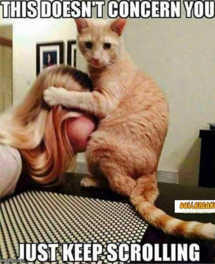 Click image for larger version

Name:	Screenshot_20241127_105537_Chrome.jpg
Views:	1
Size:	89.8 KB
ID:	60959