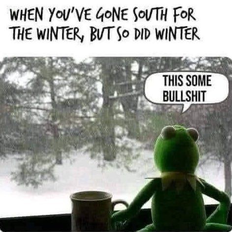 Click image for larger version

Name:	winter in the south.jpg
Views:	1
Size:	61.1 KB
ID:	62269