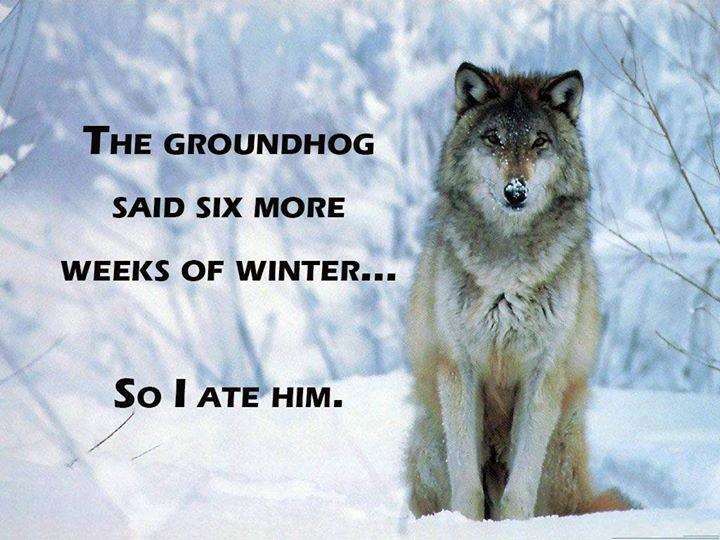 Click image for larger version

Name:	groundhog and wolf.jpg
Views:	1
Size:	99.4 KB
ID:	62390