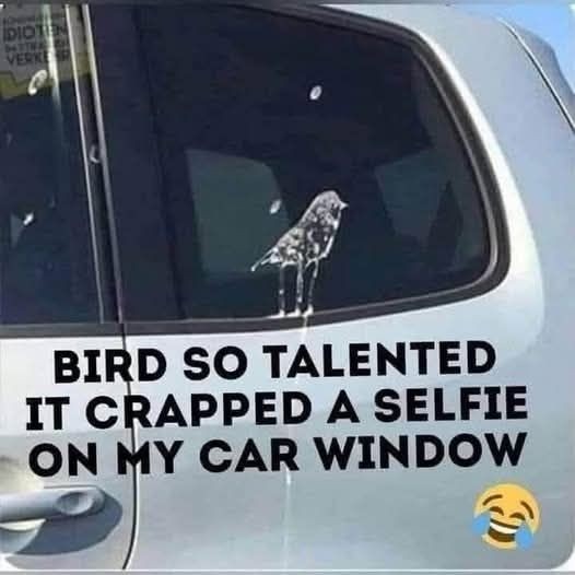 Click image for larger version

Name:	476412422_576272262133797_280241218626698217_n.jpg
Views:	1
Size:	42.8 KB
ID:	62516