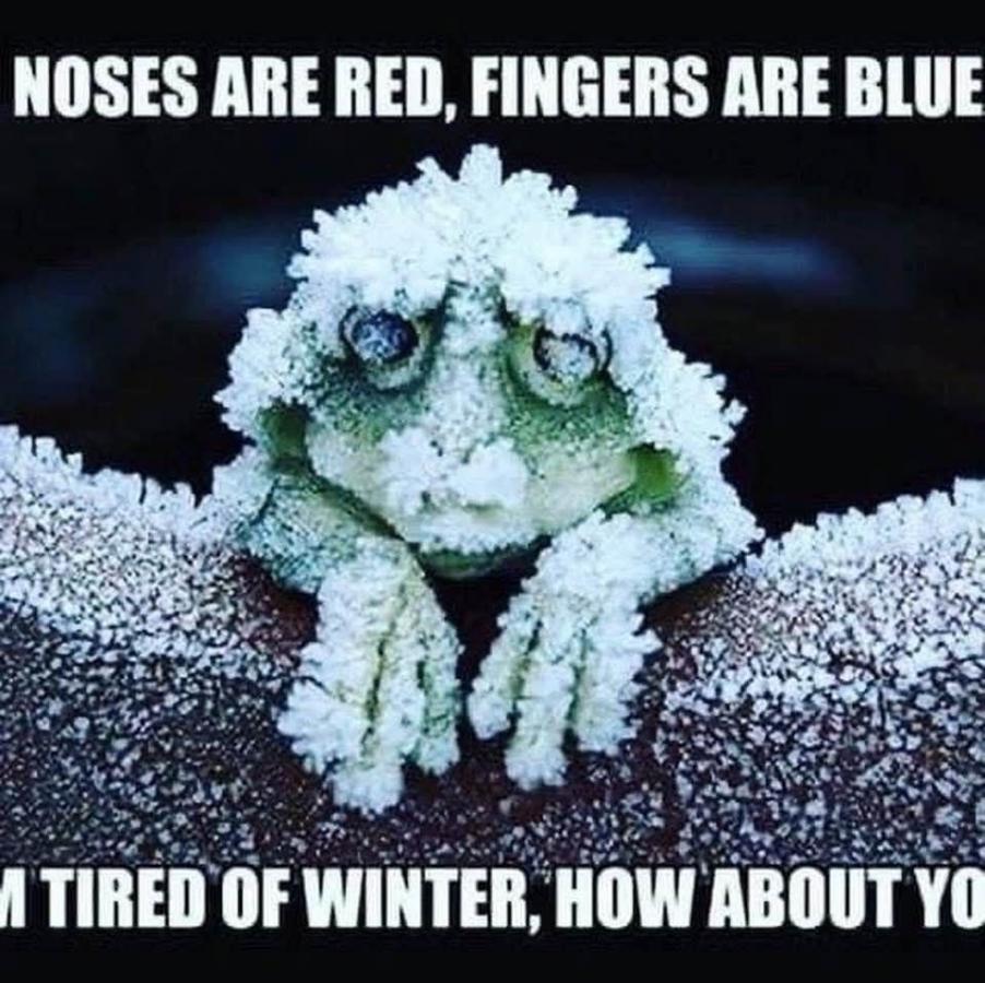 Click image for larger version

Name:	476915594_578535831907440_7935930950294087613_n.jpg
Views:	1
Size:	116.9 KB
ID:	62561