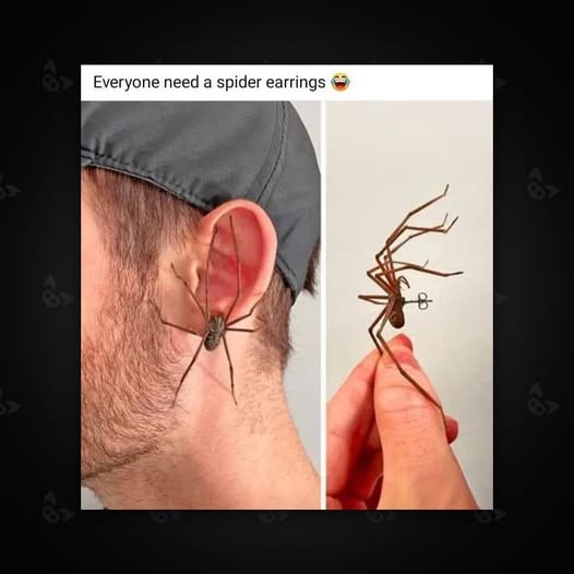 Click image for larger version

Name:	spider earrings.jpg
Views:	1
Size:	37.5 KB
ID:	62666