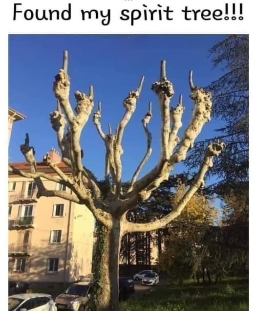 Click image for larger version

Name:	spirit tree.jpg
Views:	1
Size:	76.0 KB
ID:	62719