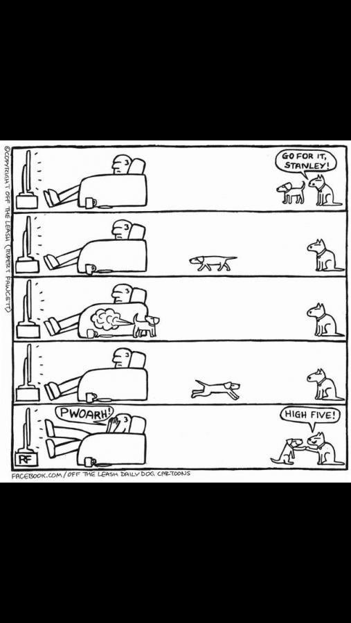 Click image for larger version

Name:	481190302_952413863659830_6828411125870971735_n.jpg
Views:	1
Size:	46.6 KB
ID:	63130