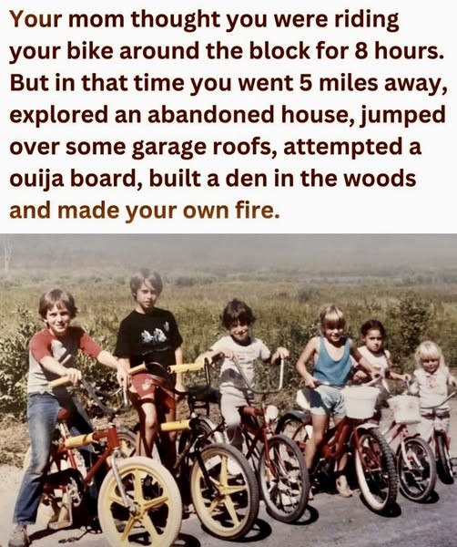 Click image for larger version

Name:	477774477_1029114435908963_1313205989603653404_n.jpg
Views:	1
Size:	100.6 KB
ID:	63356