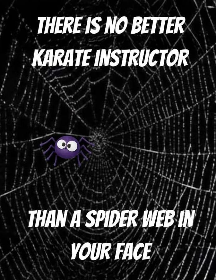 Click image for larger version

Name:	486702504_122149882316512034_3905396067642344865_n.jpg
Views:	1
Size:	98.2 KB
ID:	63439