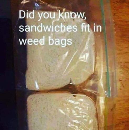 Click image for larger version

Name:	weed.jpg
Views:	1
Size:	44.7 KB
ID:	63584