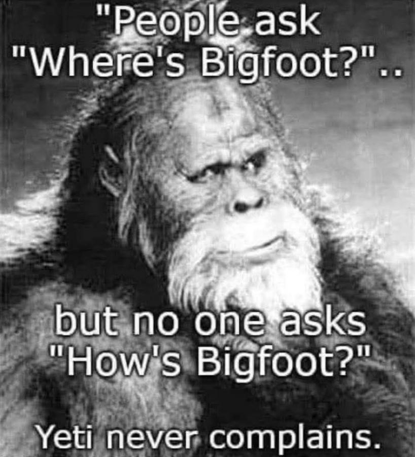 Click image for larger version

Name:	498677823_122160939542554884_802096227613628354_n.jpg
Views:	1
Size:	92.6 KB
ID:	64480