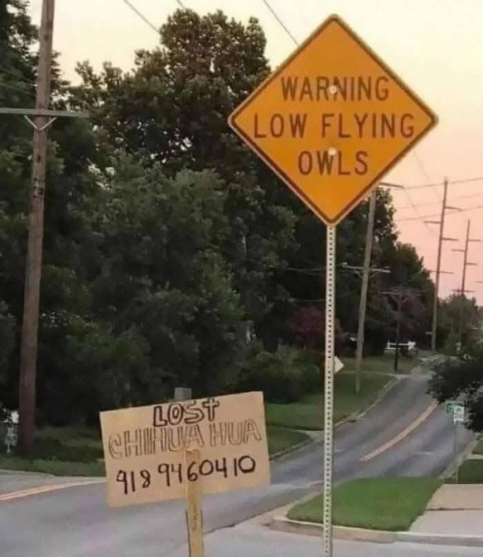 Click image for larger version

Name:	499528179_122110230866862864_4310608327999771891_n.jpg
Views:	1
Size:	71.8 KB
ID:	64526