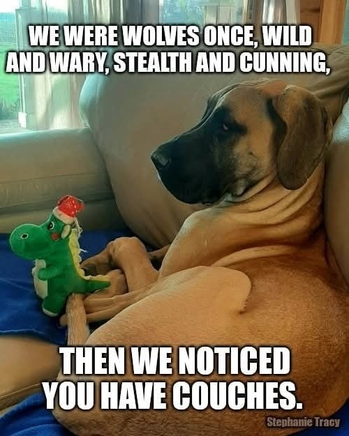 Click image for larger version

Name:	great danes.jpg
Views:	1
Size:	70.9 KB
ID:	64536