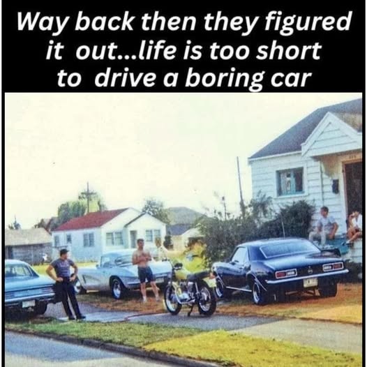 Click image for larger version

Name:	muscle cars.jpg
Views:	1
Size:	66.6 KB
ID:	64595