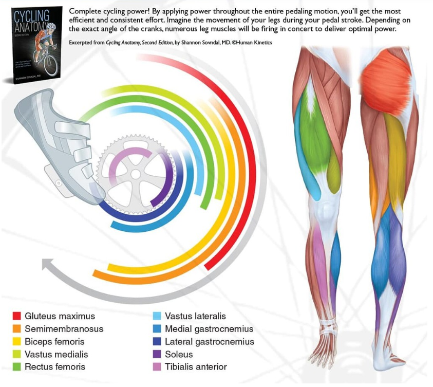 Click image for larger version

Name:	Screenshot 2025-06-02 5.02.13 PM.png
Views:	2
Size:	664.6 KB
ID:	64721