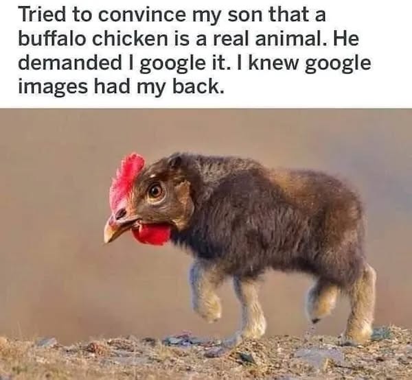 Click image for larger version

Name:	508985132_10163233970858069_2780378899824881837_n.webp.jpeg
Views:	1
Size:	60.1 KB
ID:	65098