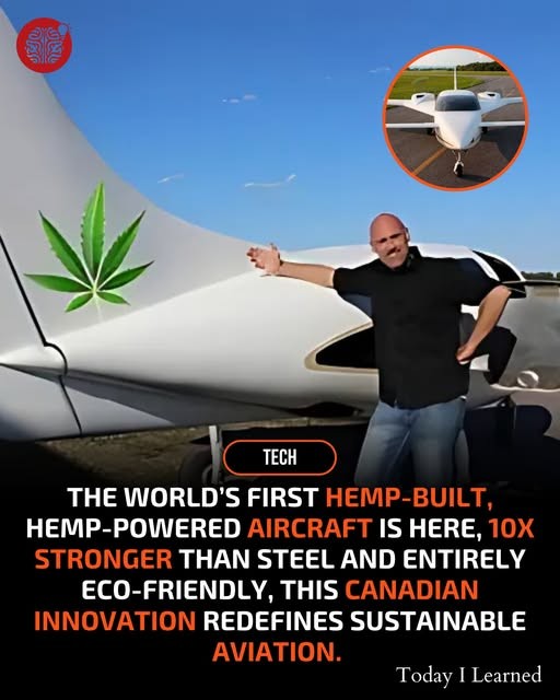 Click image for larger version

Name:	hemp.jpg
Views:	1
Size:	66.5 KB
ID:	65222
