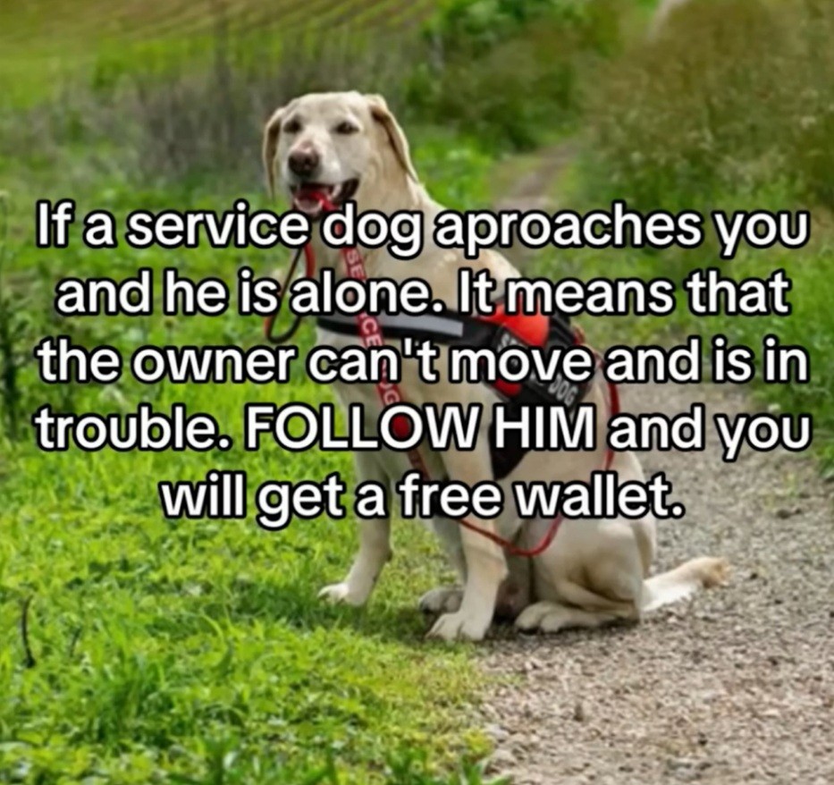 Click image for larger version

Name:	Screenshot_20250707_102004_Chrome.jpg
Views:	1
Size:	212.4 KB
ID:	65531