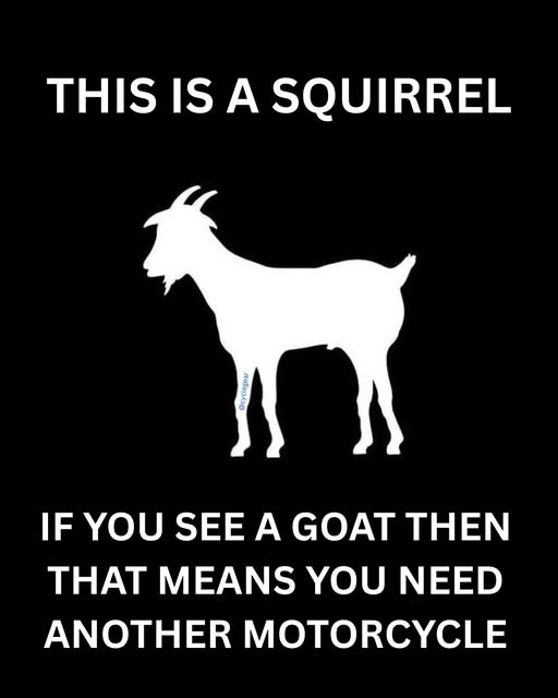 Click image for larger version

Name:	goat squirrel.jpg
Views:	1
Size:	38.7 KB
ID:	65579