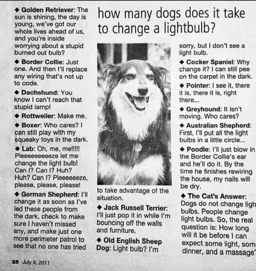 Click image for larger version

Name:	514253187_122221566044138397_5507146636056094603_n.jpg
Views:	1
Size:	146.9 KB
ID:	65586