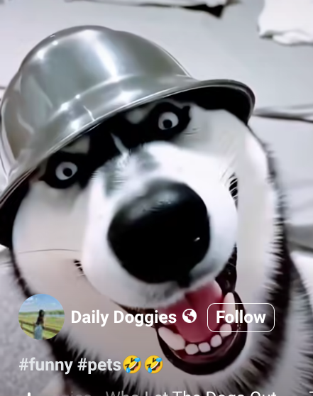 Click image for larger version

Name:	Screenshot 2025-07-12 5.21.50 PM.png
Views:	1
Size:	277.7 KB
ID:	65616