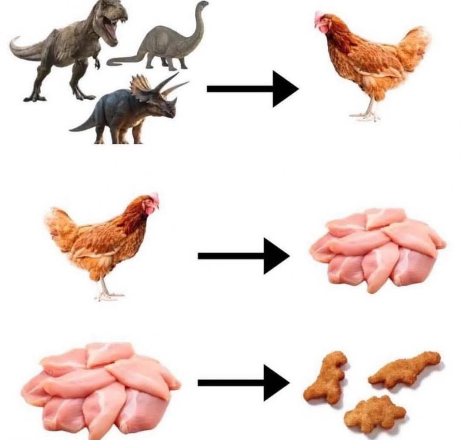 Click image for larger version

Name:	518300482_1729559201283651_7736283423233210035_n.jpg
Views:	1
Size:	53.5 KB
ID:	65629