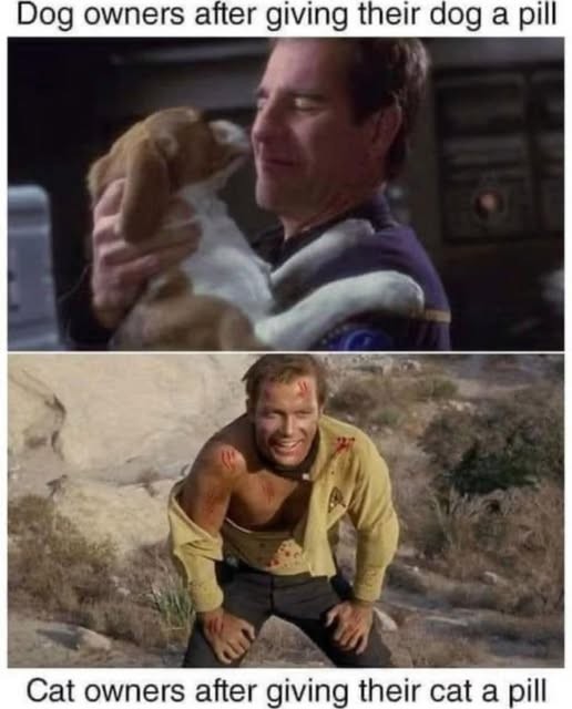 Click image for larger version

Name:	giving a pill.jpg
Views:	1
Size:	56.9 KB
ID:	65645