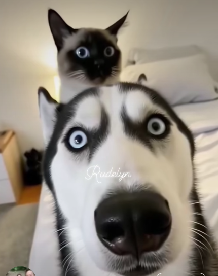 Click image for larger version  Name:	Screenshot 2025-07-13 7.47.33 PM.png Views:	1 Size:	259.1 KB ID:	65656