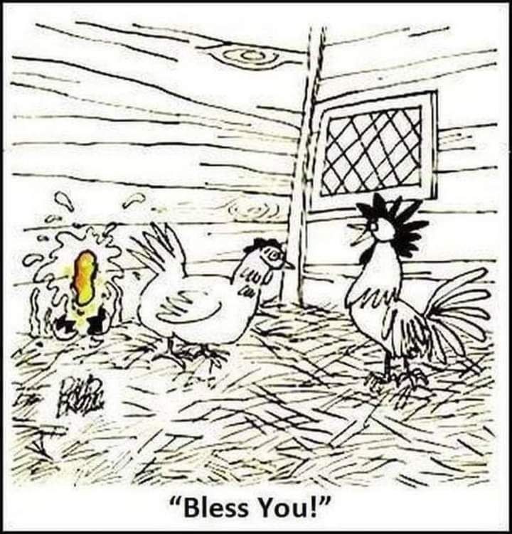 Click image for larger version

Name:	523131256_122264345072224615_917409144262855054_n.jpg
Views:	1
Size:	128.1 KB
ID:	65958