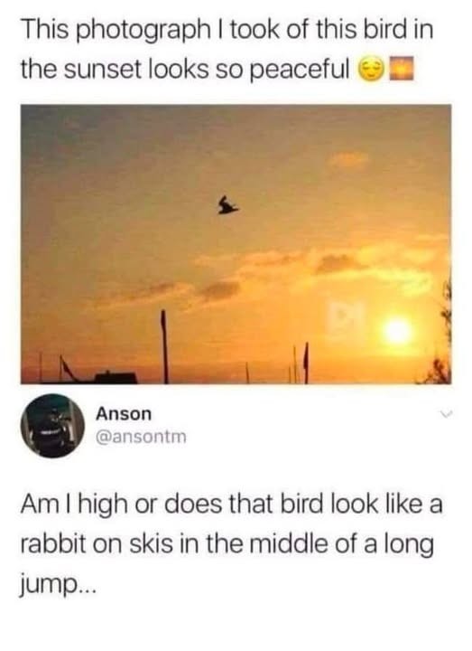 Click image for larger version

Name:	rabbit on long jump.jpg
Views:	1
Size:	44.0 KB
ID:	65999
