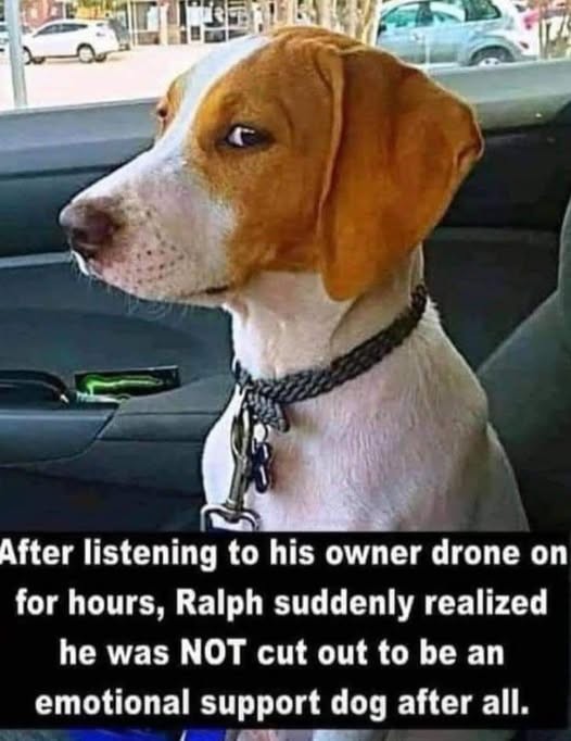 Click image for larger version

Name:	ralph.jpg
Views:	1
Size:	66.5 KB
ID:	66001