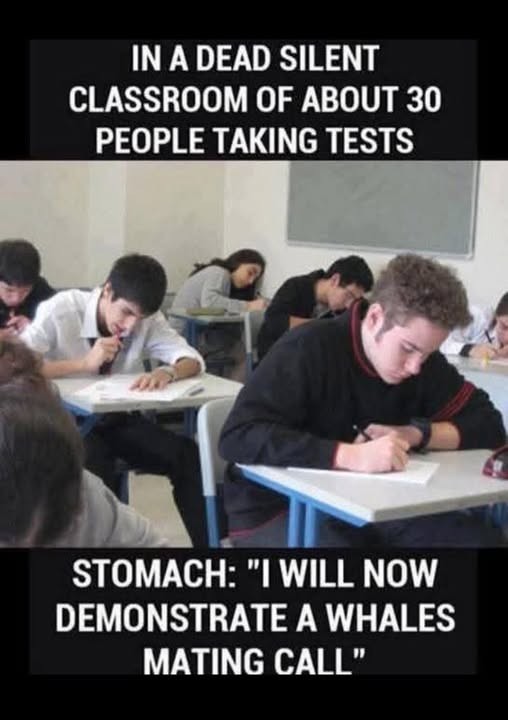 Click image for larger version

Name:	whale's call.jpg
Views:	1
Size:	59.3 KB
ID:	66205