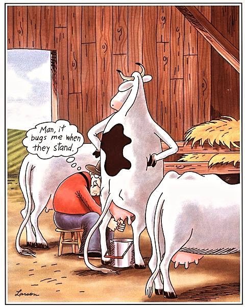 Click image for larger version

Name:	526792902_1887861358660707_6301090123357058694_n.jpg
Views:	1
Size:	113.7 KB
ID:	66229