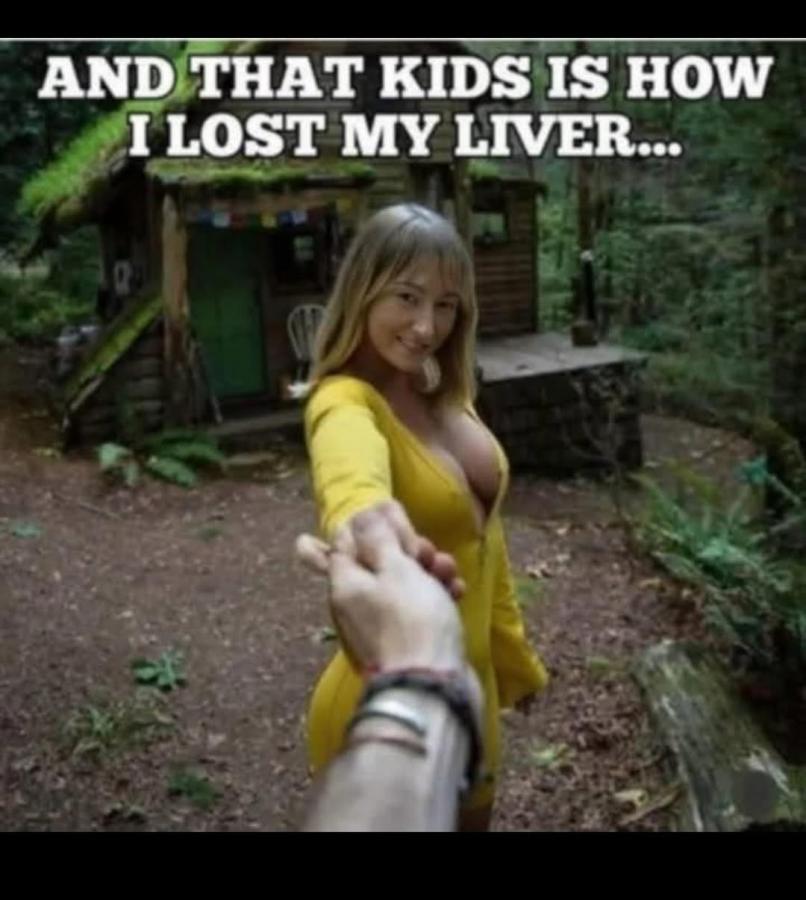 Click image for larger version

Name:	538414031_1976993539371938_3526376654606389787_n.jpg
Views:	1
Size:	72.4 KB
ID:	66525