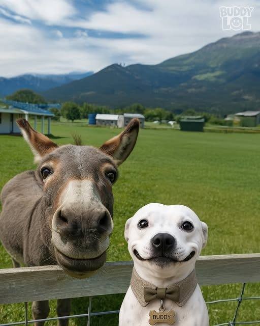 Click image for larger version

Name:	smiles.jpg
Views:	1
Size:	59.4 KB
ID:	66642