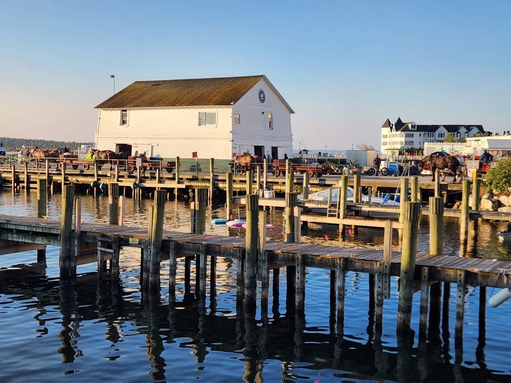 Click image for larger version

Name:	20250916_082011_copy_1000x750.jpg
Views:	1
Size:	230.3 KB
ID:	66848