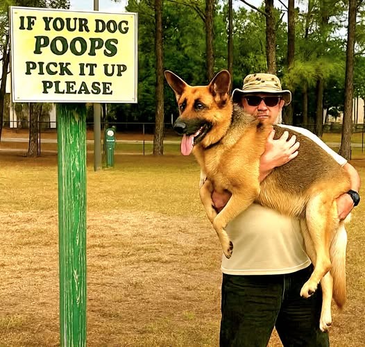 Click image for larger version

Name:	poops.jpg
Views:	1
Size:	101.9 KB
ID:	66943