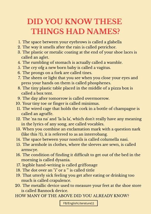 Click image for larger version

Name:	things have names.jpg
Views:	1
Size:	114.3 KB
ID:	66977