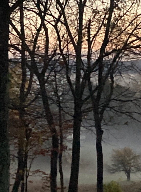 Click image for larger version

Name:	Looking north from our driveway, 2025-11-08 9.12.36 AM.png
Views:	1
Size:	699.7 KB
ID:	67682