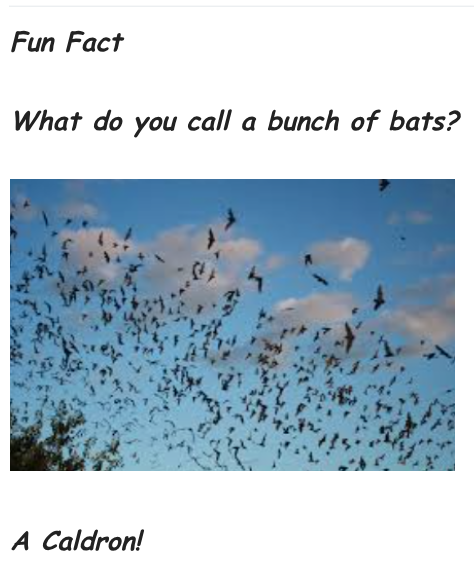Click image for larger version

Name:	Screenshot 2025-11-13 5.43.13 PM.png
Views:	1
Size:	229.9 KB
ID:	67724