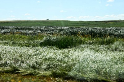 Click image for larger version

Name:	IMG_3502.jpg
Views:	1
Size:	44.6 KB
ID:	67768