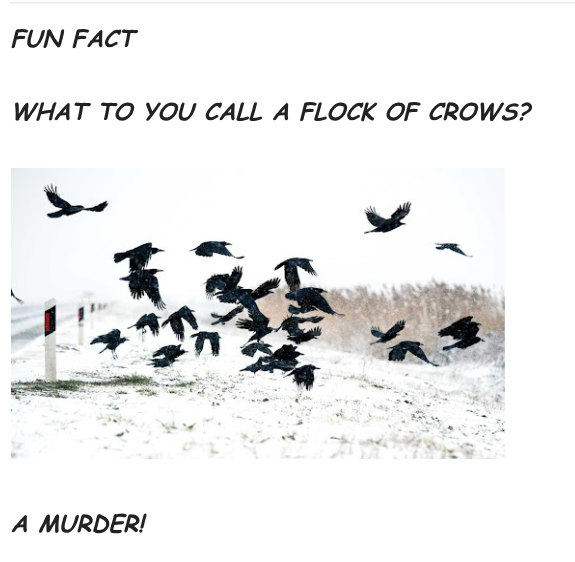 Click image for larger version

Name:	Screenshot 2025-11-26 3.47.16 AM.png
Views:	1
Size:	200.8 KB
ID:	67894