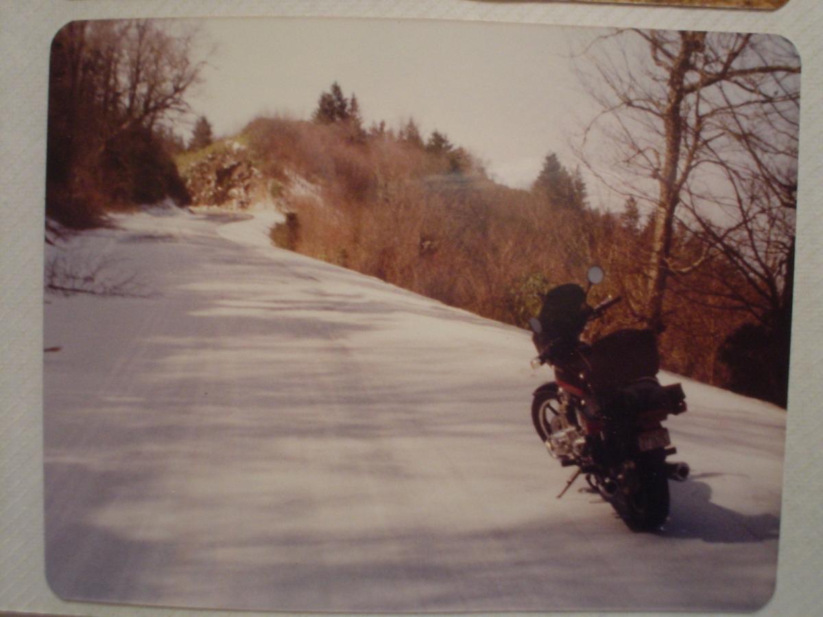 Click image for larger version

Name:	1-DSC00288.JPG
Views:	1
Size:	83.0 KB
ID:	67909